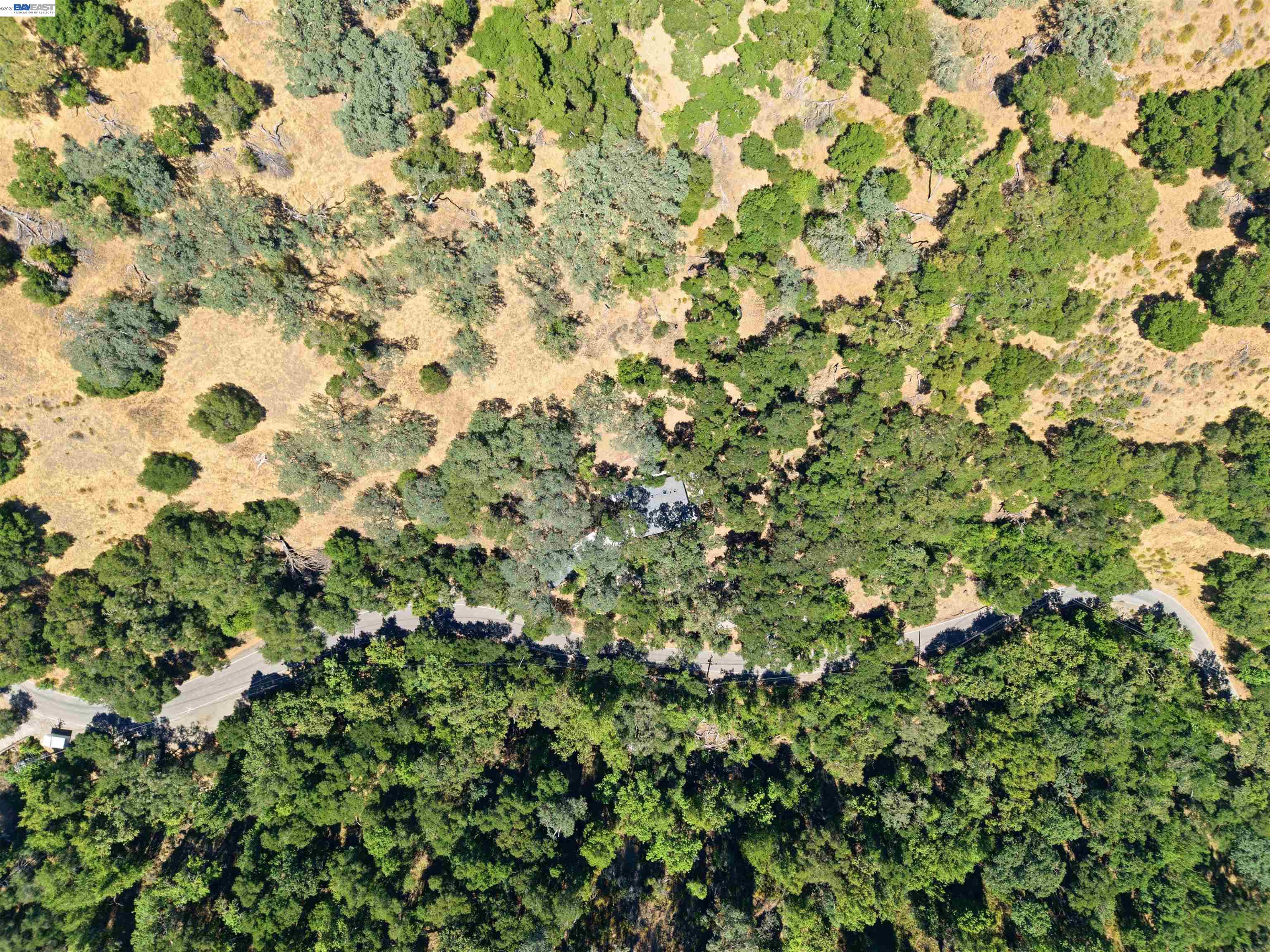 1929 Kilkare Road Sunol, CA 94586 - Photo 23 of 24 a view of a tree in a forest