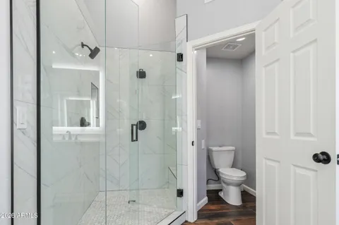 a bathroom with a shower and a toilet