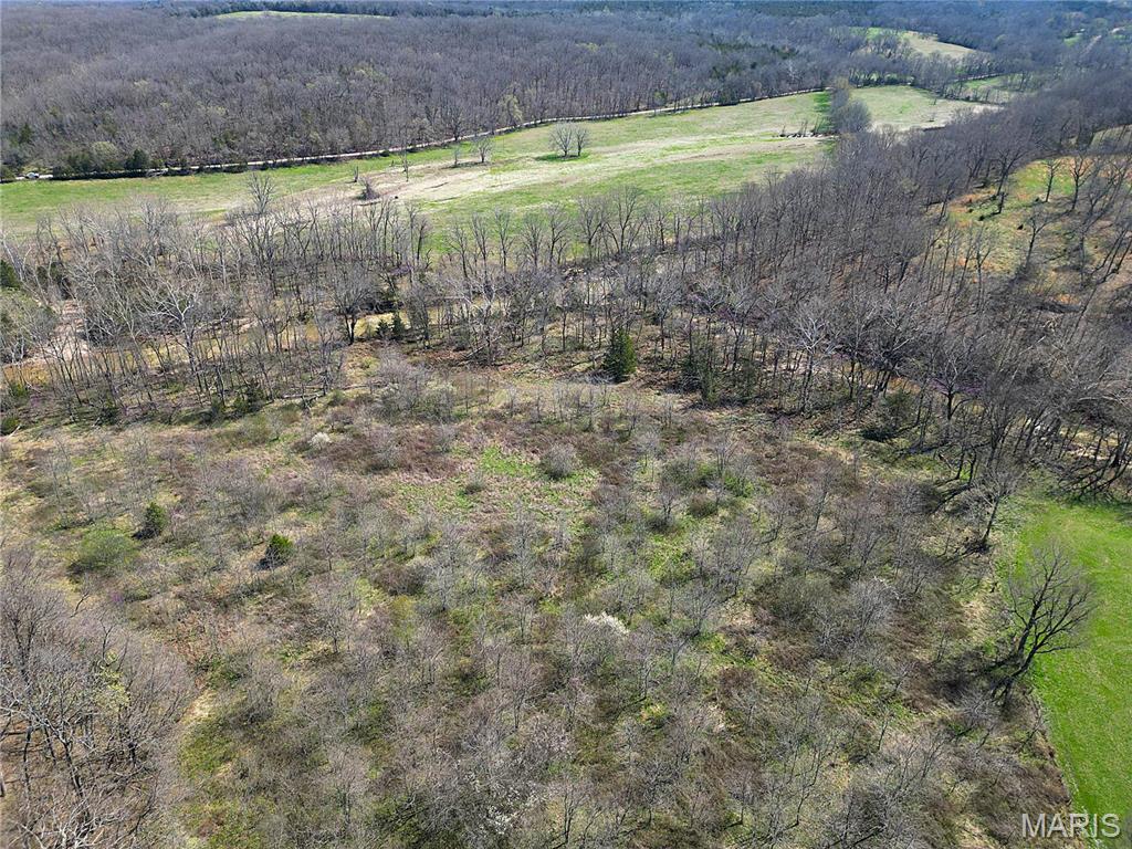 0 Tavern Creek Road Iberia, MO 65486 - Photo 17 of 38