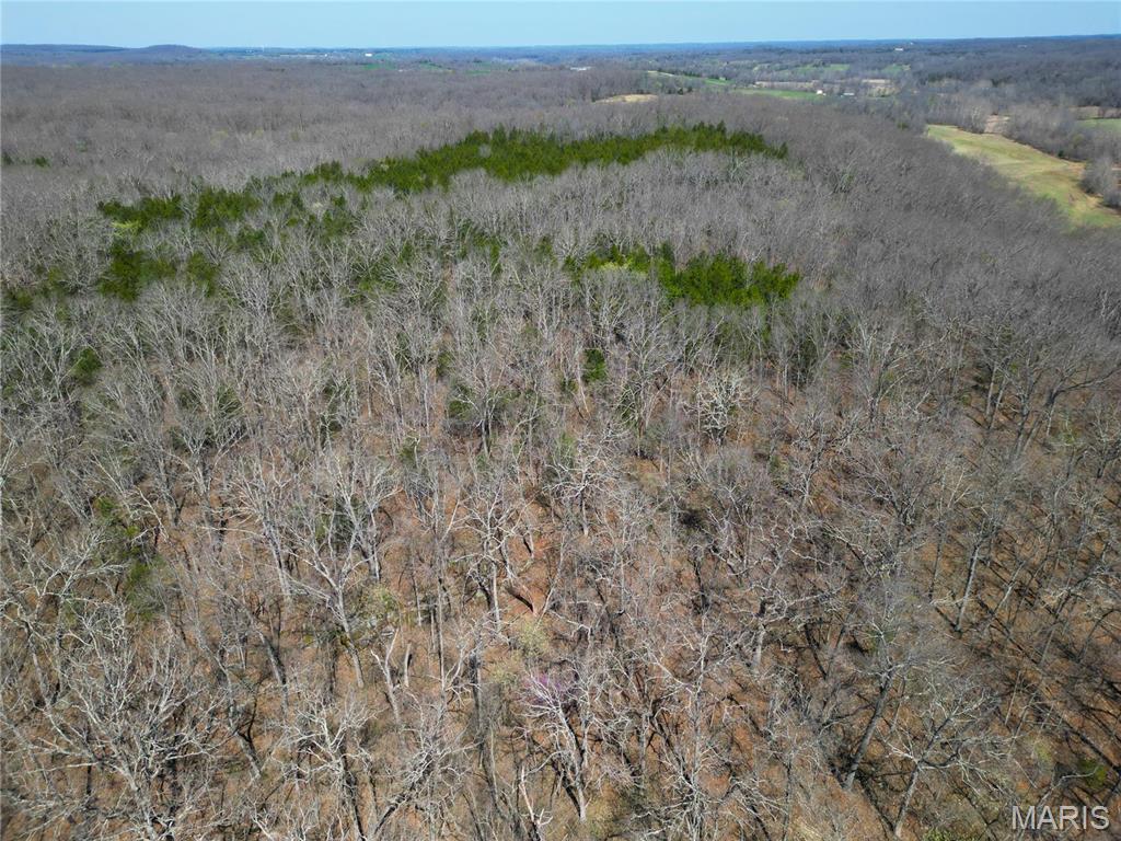 0 Tavern Creek Road Iberia, MO 65486 - Photo 18 of 38