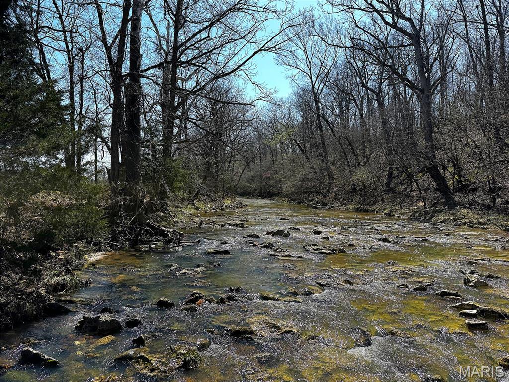 0 Tavern Creek Road Iberia, MO 65486 - Photo 2 of 38