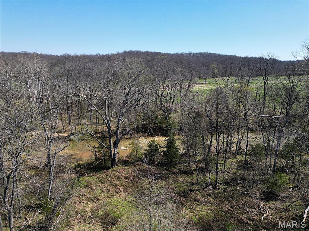 0 Tavern Creek Road Iberia, MO 65486 - Photo 24 of 38