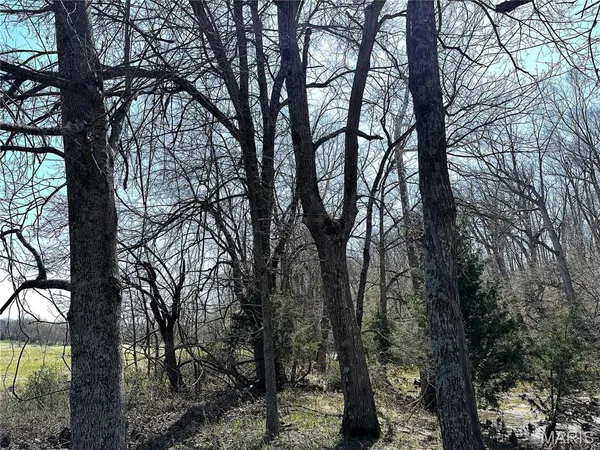 $565,000 | 0 Tavern Creek Road, Iberia, MO 65486