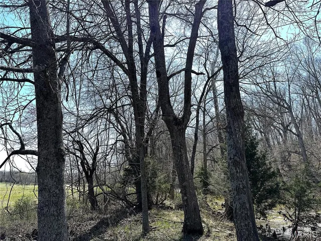 $565,000 | 0 Tavern Creek Road, Iberia, MO 65486