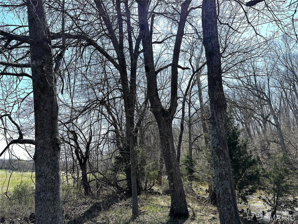 0 Tavern Creek Road Iberia, MO 65486 - Photo 38 of 38