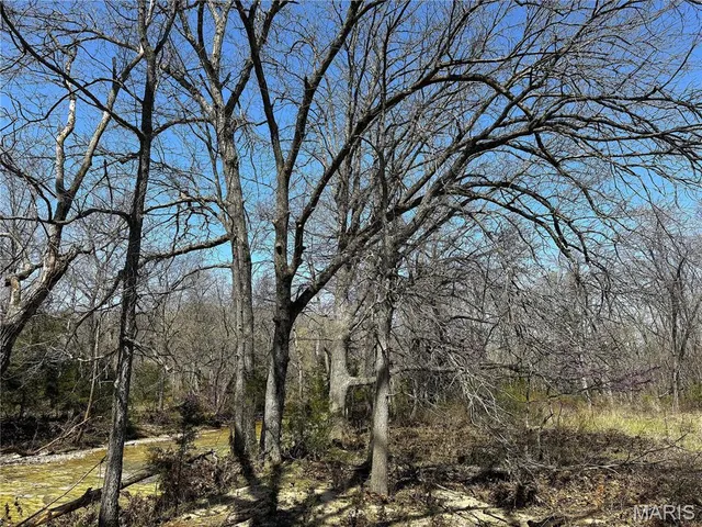 $565,000 | 0 Tavern Creek Road, Iberia, MO 65486