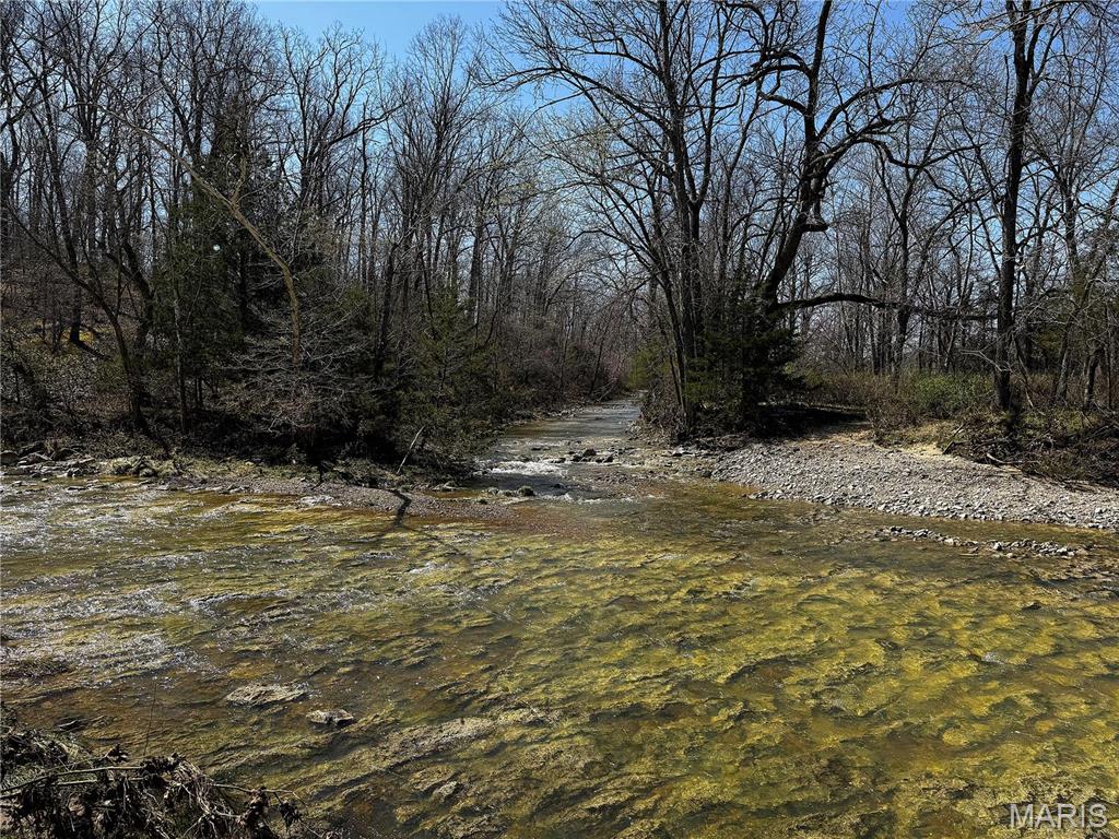 0 Tavern Creek Road Iberia, MO 65486 - Photo 6 of 38
