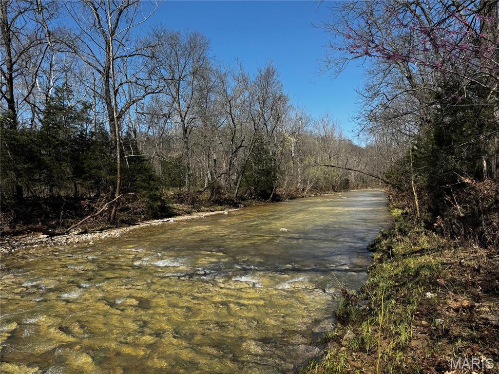 0 Tavern Creek Road Iberia, MO 65486 - Photo 7 of 38