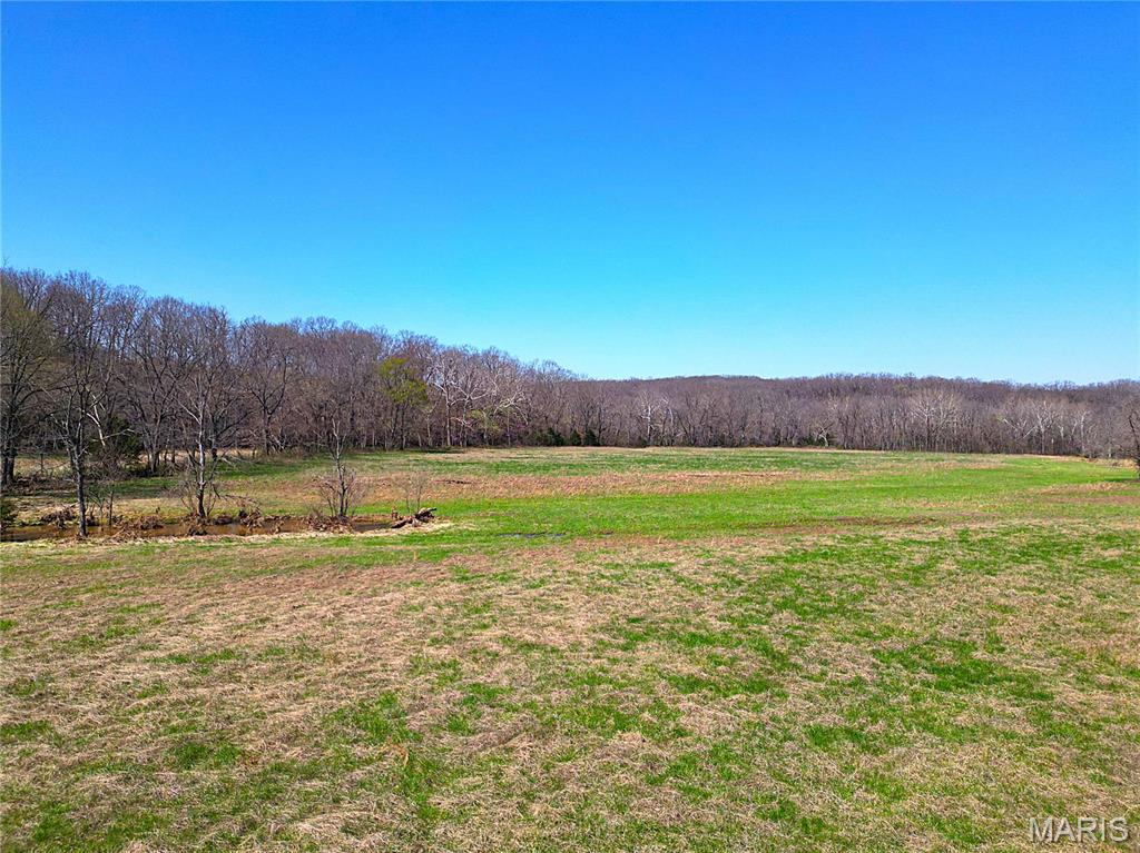 0 Tavern Creek Road Iberia, MO 65486 - Photo 10 of 38