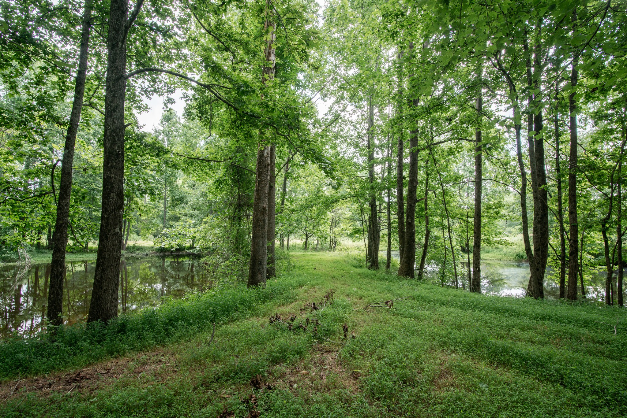 169 Pendergrass Road Flintville, TN 37335 - Photo 3 of 16