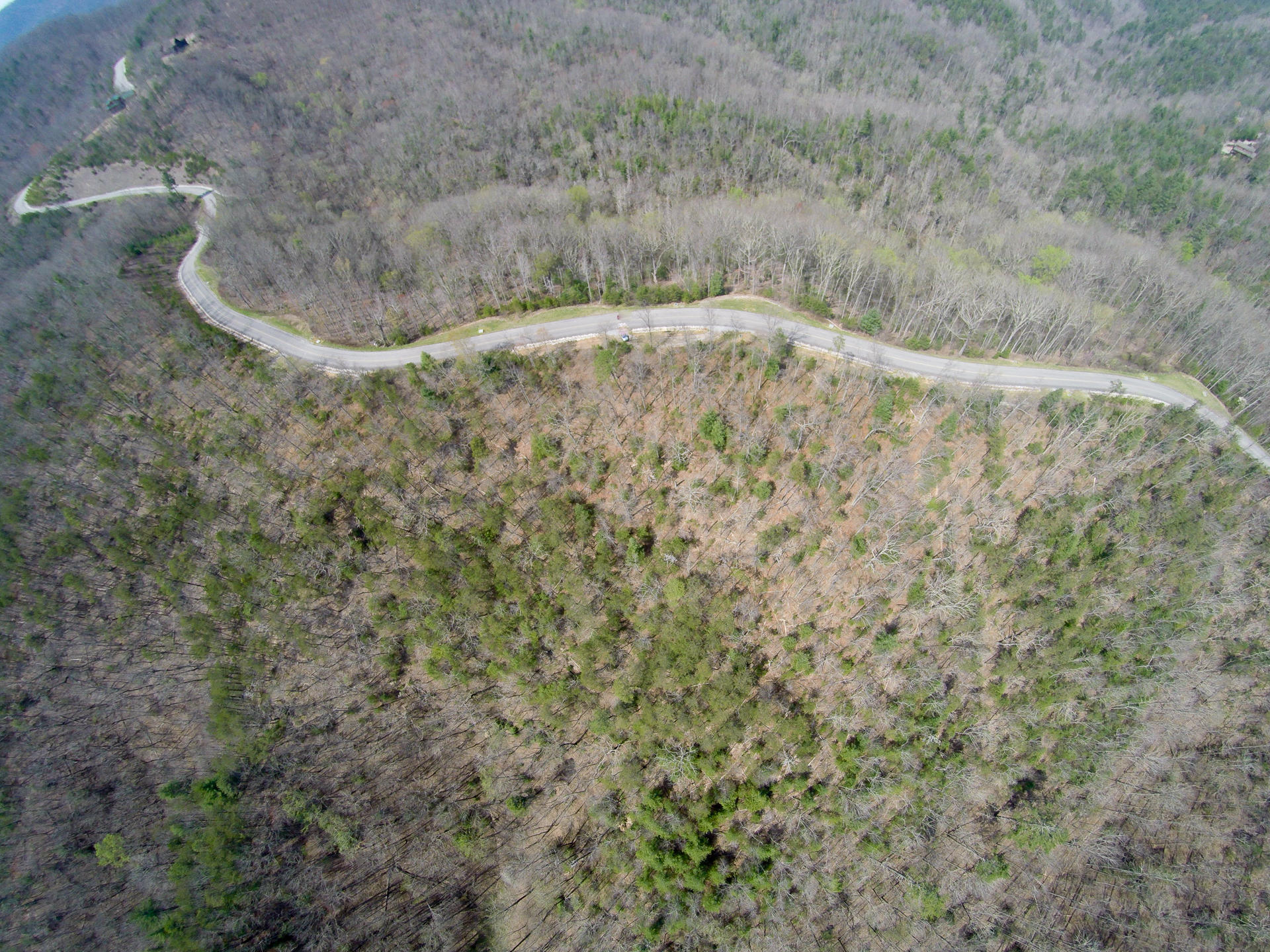 3 B Long Rifle Road Walland, TN 37886 - Photo 17 of 19 DSC_00101-12