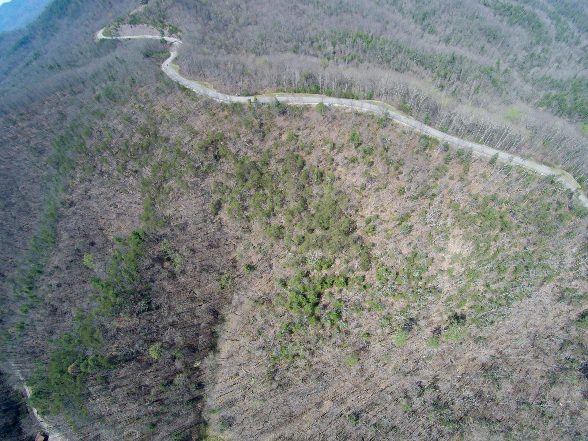 3 B Long Rifle Road Walland, TN 37886 - Photo 7 of 19 DSC_00101-13