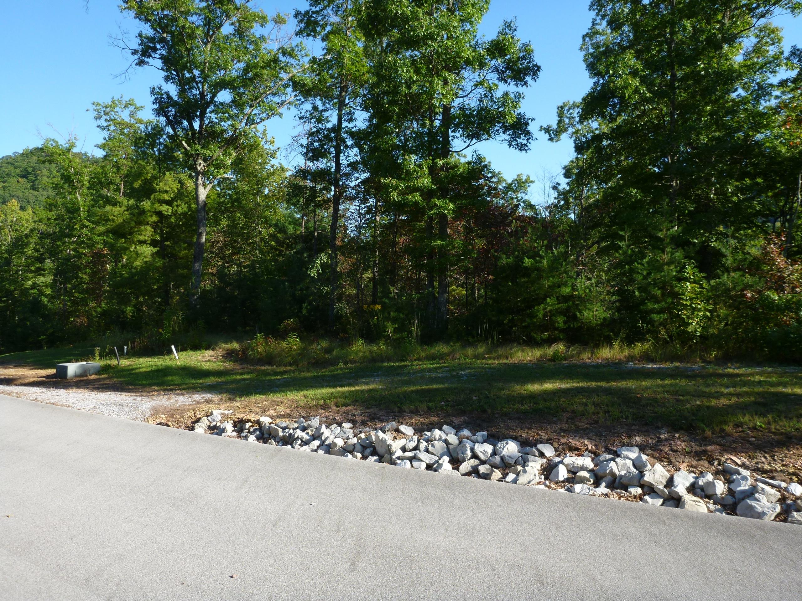 3 B Long Rifle Road Walland, TN 37886 - Photo 8 of 19 Nice access on Long Rifle Rd
