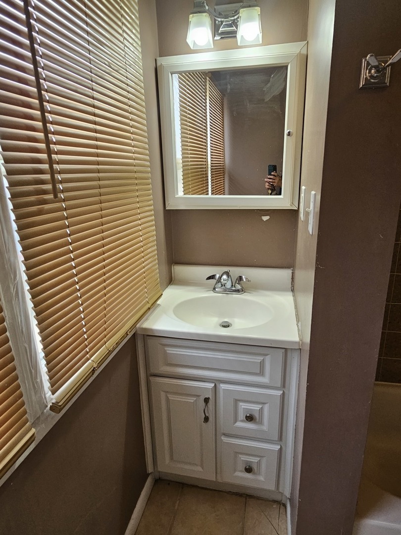 825 Black Road Joliet, IL 60435 - Photo 7 of 22 a bathroom with a sink and a mirror