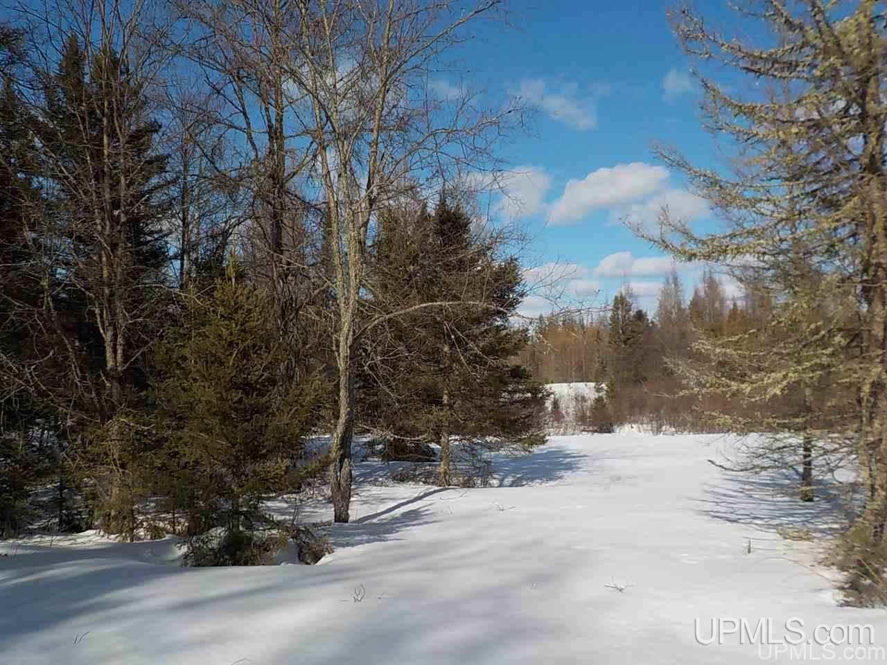 196.2-ac East Cable Lake Road Crystal Falls, MI 49920 - Photo 17 of 17