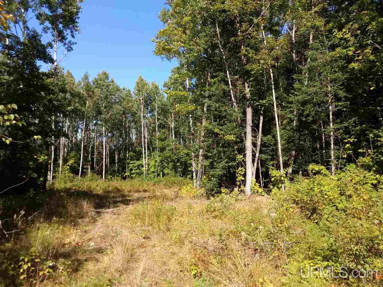40-acres Red Road Champion, MI 49814 - Photo 7 of 13