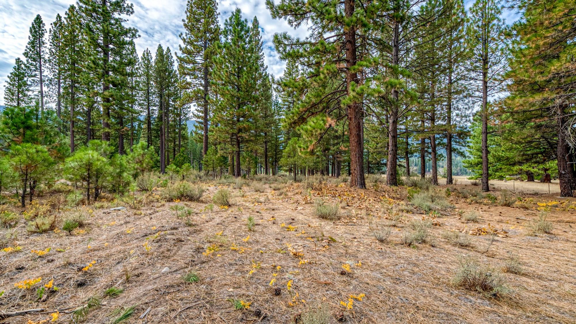 503 Redtail Loop Road Clio, CA 96106 - Photo 28 of 38 Gallery Image 28