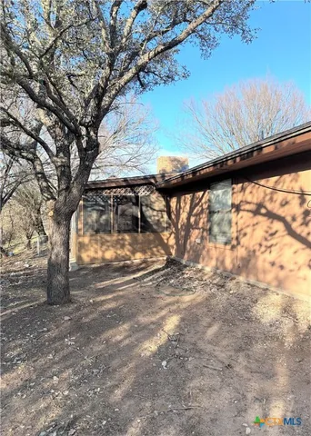 a view of a yard with a tree