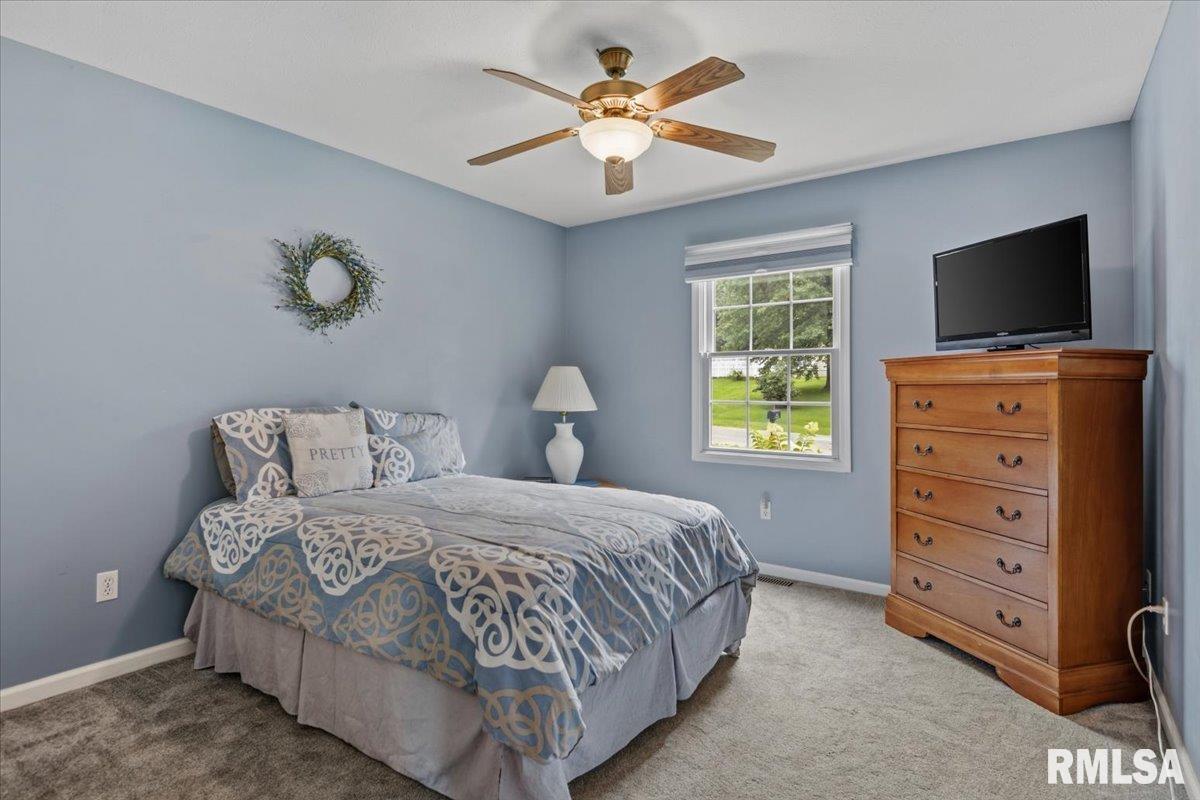 317 Stetson Road New Berlin, IL 62670 - Photo 18 of 42 Gallery Image 18