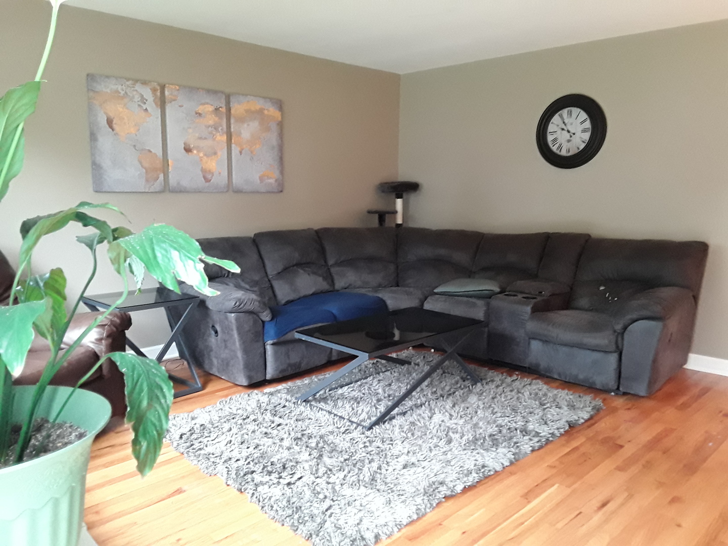 9129 Homestead Lane Bridgeview, IL 60455 - Photo 5 of 17