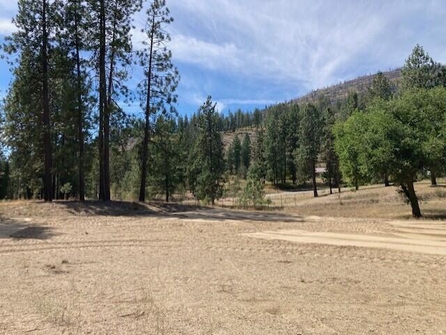 Lot 2 Kifer Spur Road Kettle Falls, WA 99141 - Photo 13 of 24