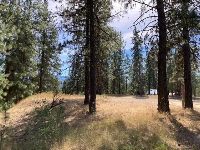 $114,900 | Lot 2 Kifer Spur Road, Kettle Falls, WA 99141