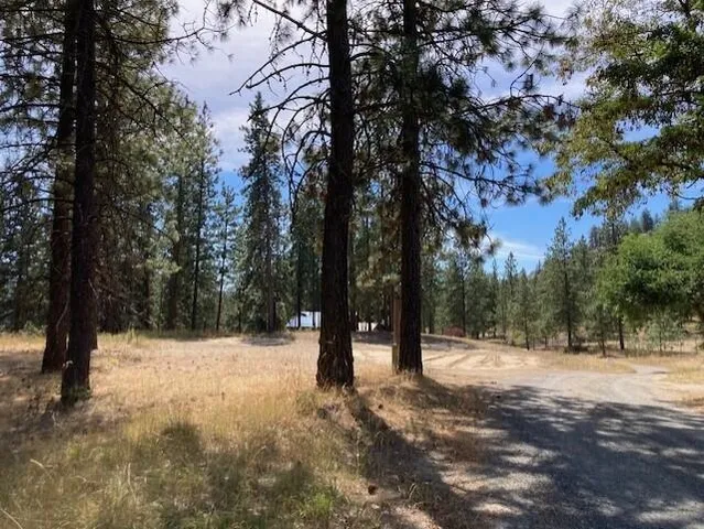 $114,900 | Lot 2 Kifer Spur Road, Kettle Falls, WA 99141