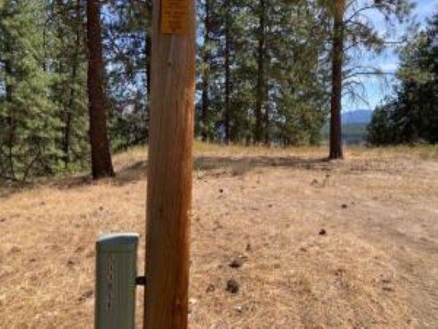 Lot 2 Kifer Spur Road Kettle Falls, WA 99141 - Photo 15 of 18