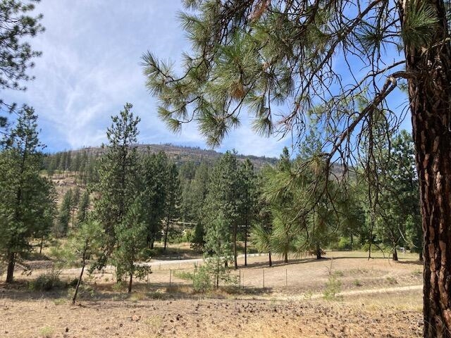 Lot 2 Kifer Spur Road Kettle Falls, WA 99141 - Photo 16 of 24