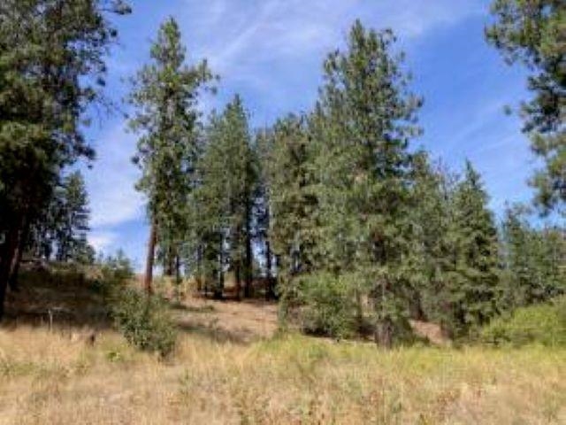 Lot 2 Kifer Spur Road Kettle Falls, WA 99141 - Photo 17 of 18