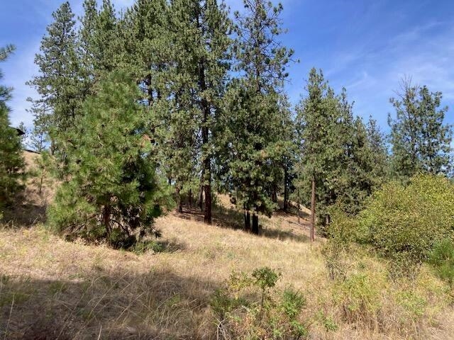 Lot 2 Kifer Spur Road Kettle Falls, WA 99141 - Photo 18 of 24