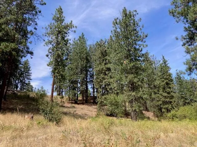 $114,900 | Lot 2 Kifer Spur Road, Kettle Falls, WA 99141