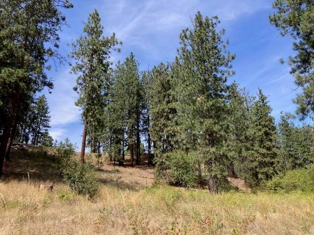 Lot 2 Kifer Spur Road Kettle Falls, WA 99141 - Photo 19 of 24