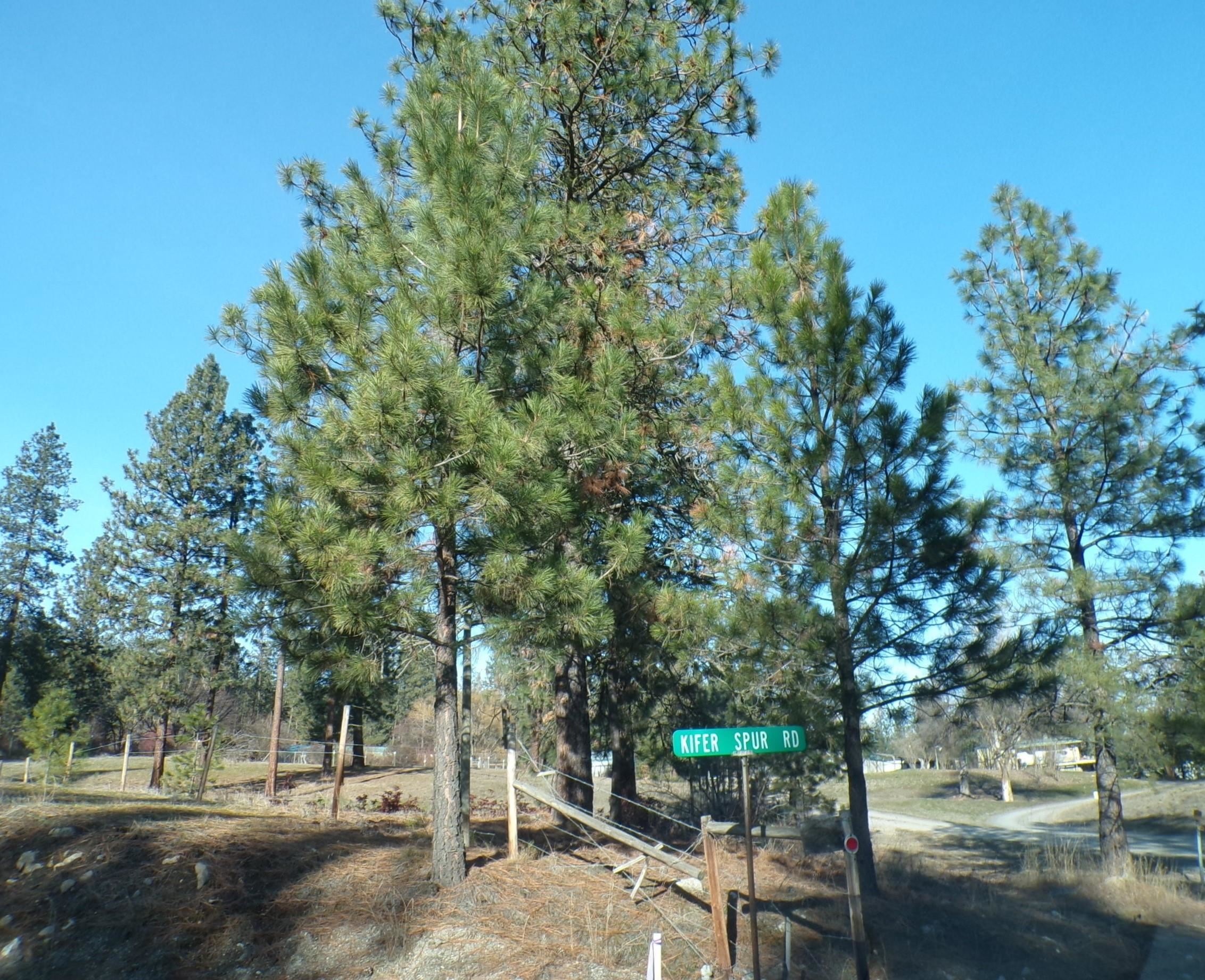 Lot 2 Kifer Spur Road Kettle Falls, WA 99141 - Photo 20 of 24