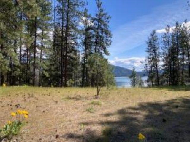 Lot 2 Kifer Spur Road Kettle Falls, WA 99141 - Photo 3 of 18