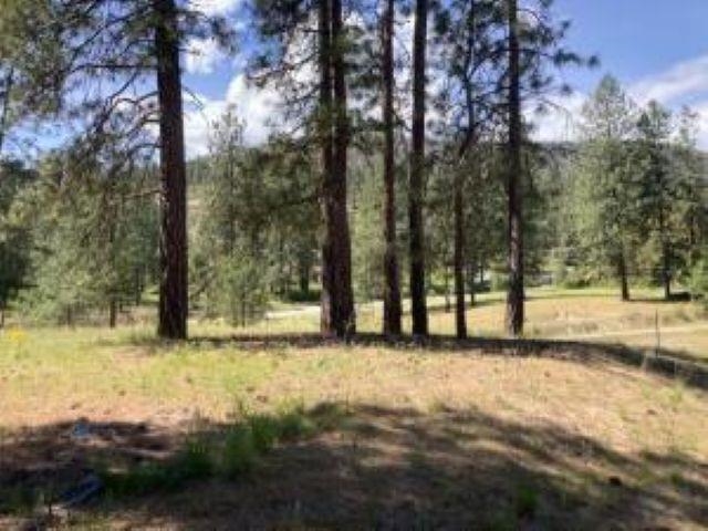 Lot 2 Kifer Spur Road Kettle Falls, WA 99141 - Photo 4 of 18