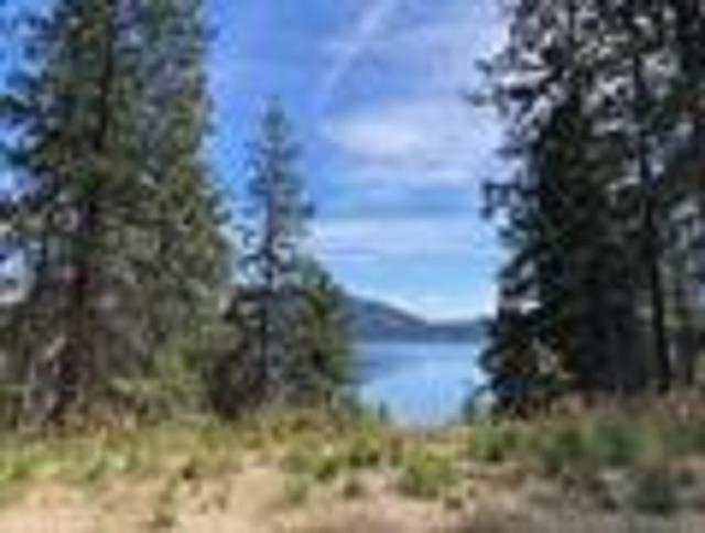 Lot 2 Kifer Spur Road Kettle Falls, WA 99141 - Photo 6 of 24