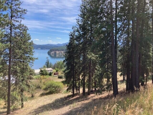Lot 2 Kifer Spur Road Kettle Falls, WA 99141 - Photo 7 of 24