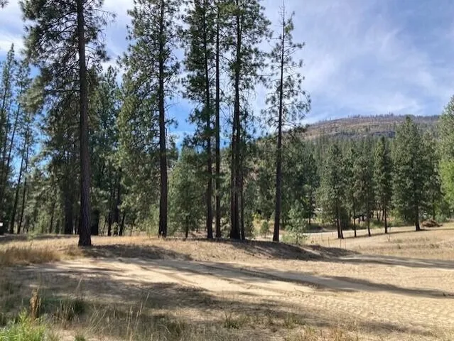 $114,900 | Lot 2 Kifer Spur Road, Kettle Falls, WA 99141