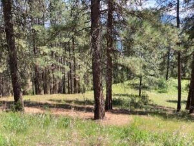 Lot 2 Kifer Spur Road Kettle Falls, WA 99141 - Photo 9 of 18
