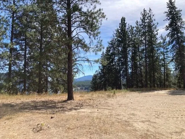 $114,900 | Lot 2 Kifer Spur Road, Kettle Falls, WA 99141