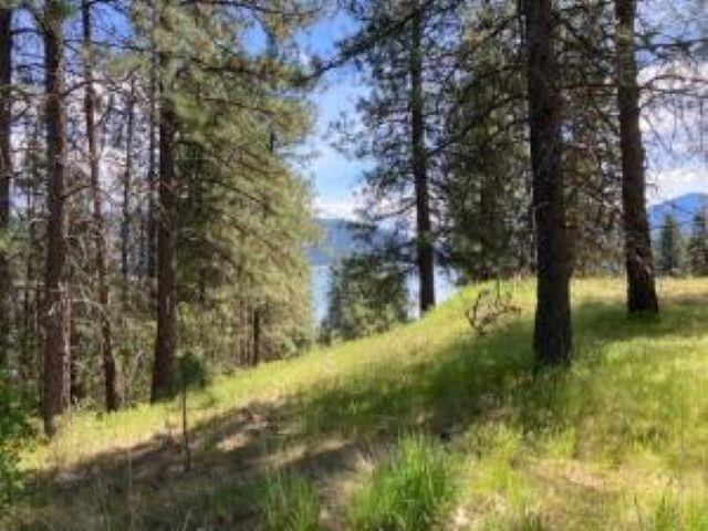 Lot 2 Kifer Spur Road Kettle Falls, WA 99141 - Photo 10 of 18