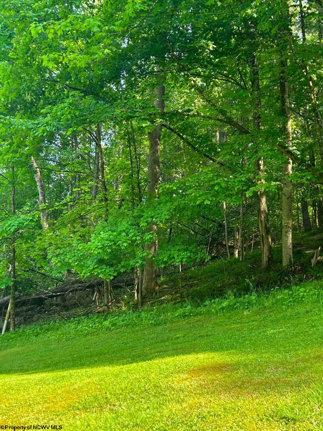 2710 Little Sand Run Road Buckhannon, WV 26201 - Photo 13 of 34 Gallery Image 13