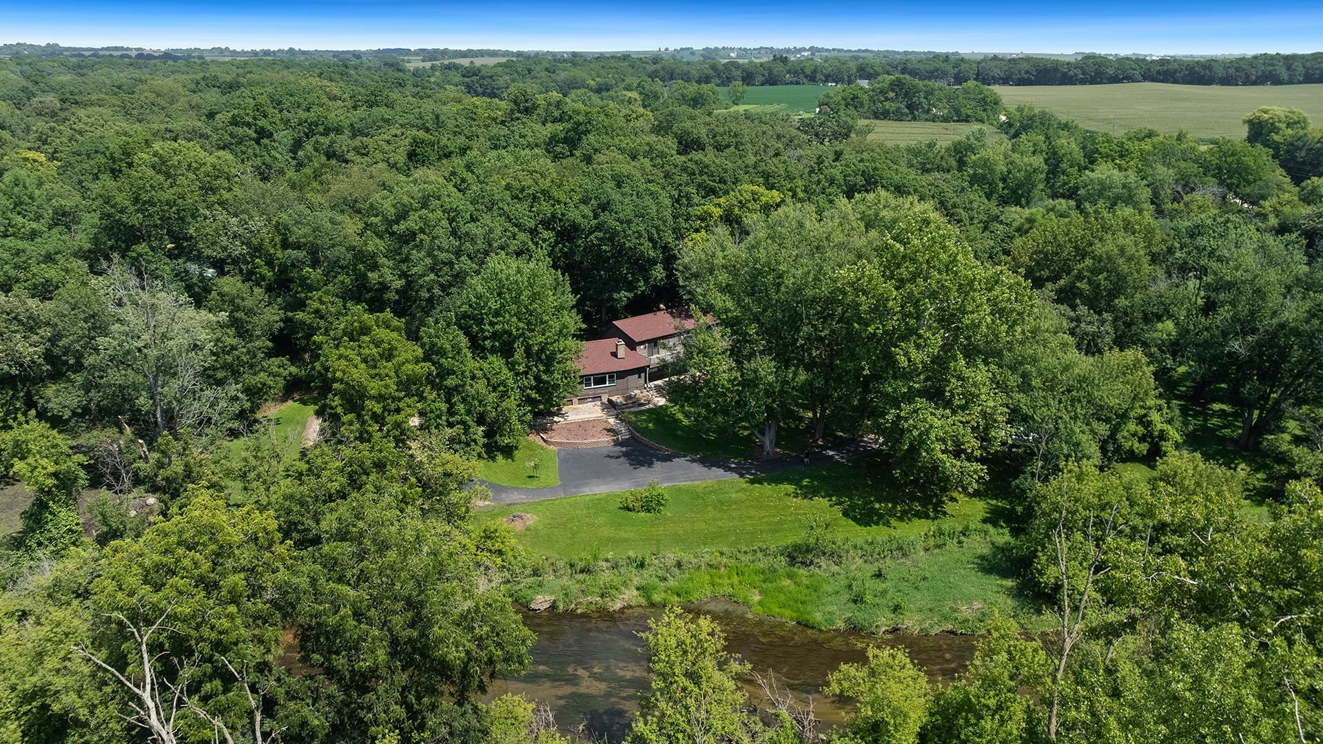 a view of a forest with a street