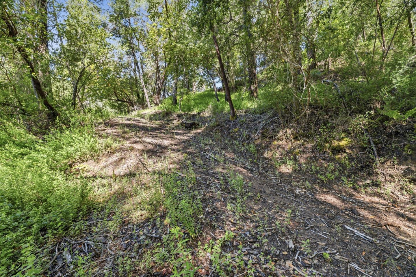 360 Rincon Way Boulder Creek, CA 95006 - Photo 14 of 46