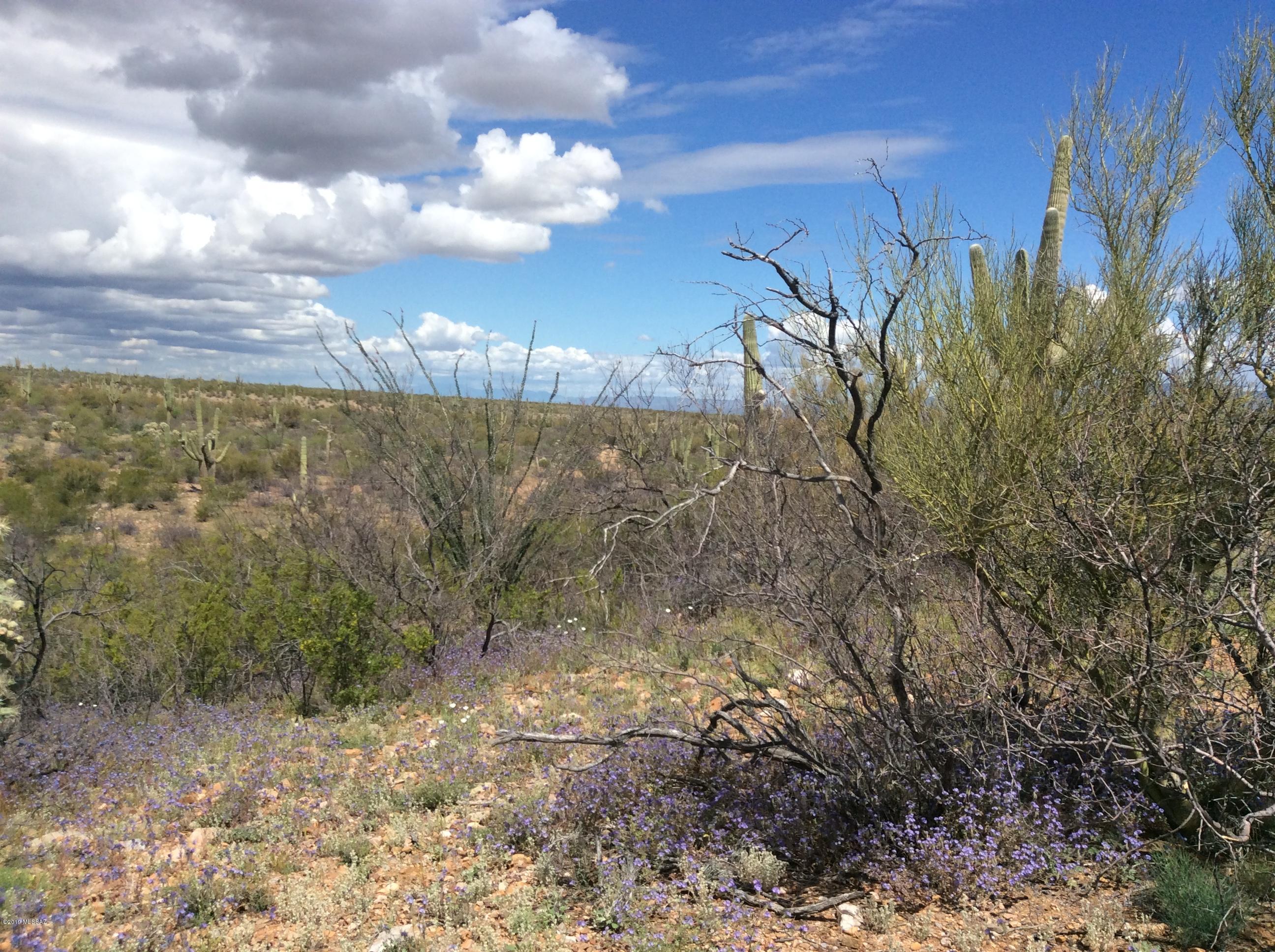 Peppersauce Mine Road San Manuel, AZ 85631 - Photo 6 of 33
