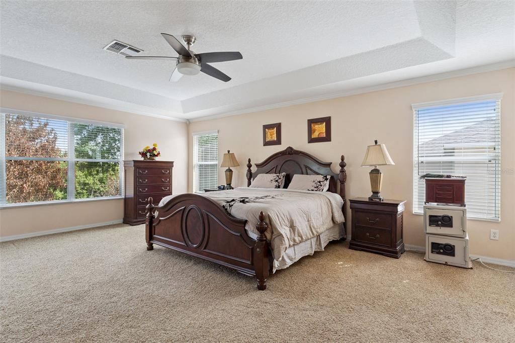 14790 Tullamore Loop Winter Garden, FL 34787 - Photo 21 of 42 a spacious bedroom with a bed and a ceiling fan