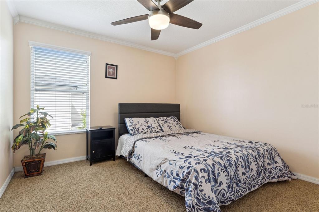 14790 Tullamore Loop Winter Garden, FL 34787 - Photo 26 of 42 a bed sitting in a bedroom next to a window and a chandelier
