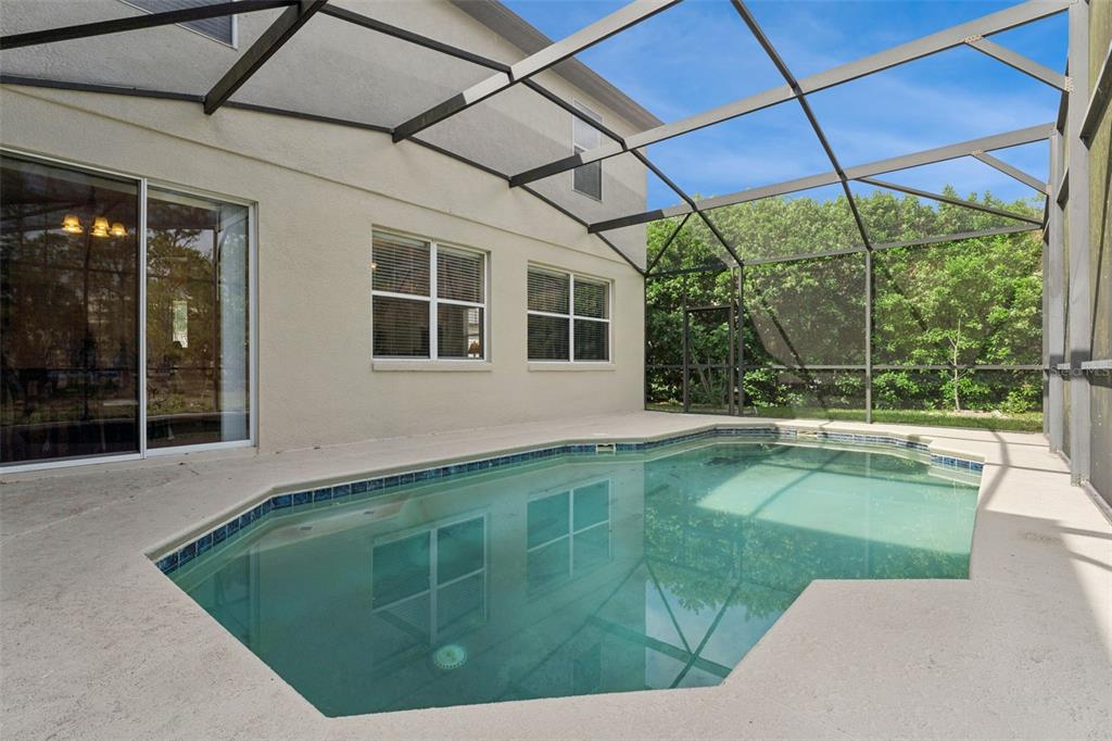 14790 Tullamore Loop Winter Garden, FL 34787 - Photo 33 of 42 a view of a backyard with a swimming pool