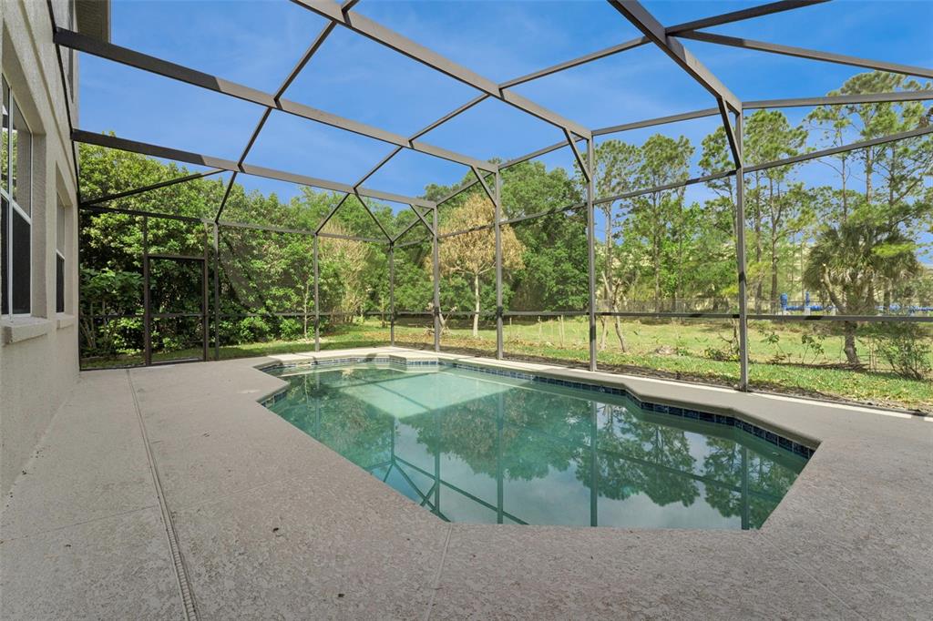 14790 Tullamore Loop Winter Garden, FL 34787 - Photo 34 of 42 a view of a backyard with a swimming pool